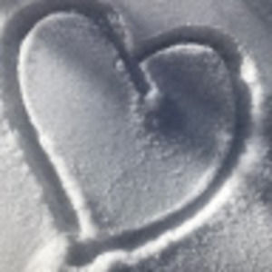 Meet your Posher, Isabella